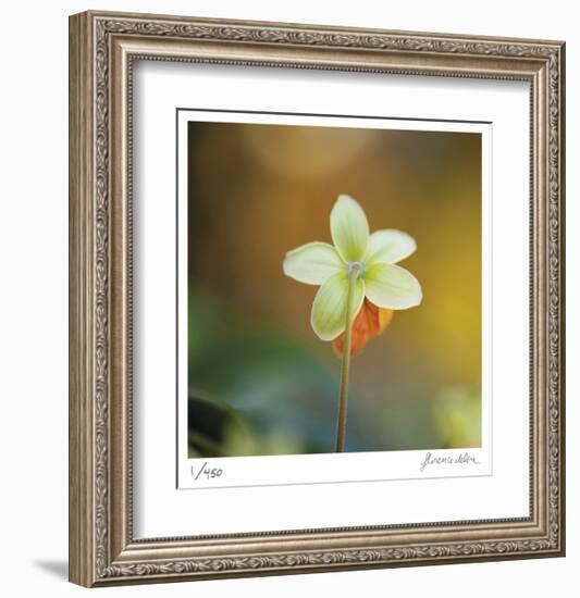 Summer Bloom 3-Florence Delva-Framed Limited Edition