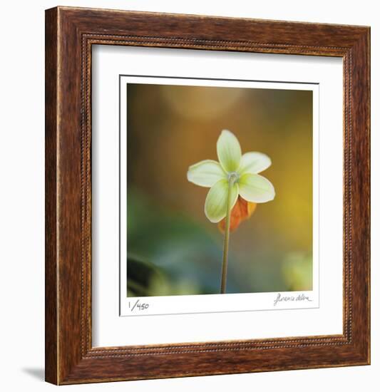 Summer Bloom 3-Florence Delva-Framed Limited Edition