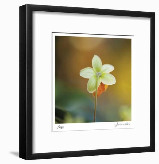 Summer Bloom 3-Florence Delva-Framed Limited Edition