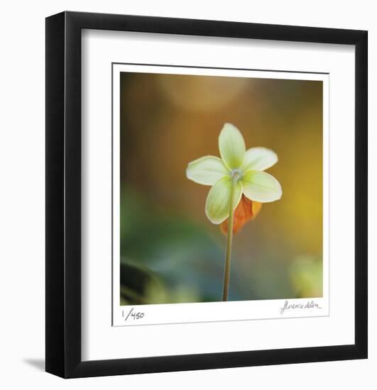 Summer Bloom 3-Florence Delva-Framed Limited Edition