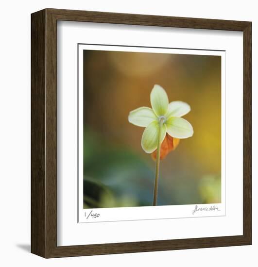 Summer Bloom 3-Florence Delva-Framed Limited Edition