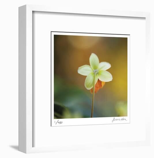 Summer Bloom 3-Florence Delva-Framed Limited Edition