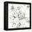 Summer Bloom III BW-Lisa Audit-Framed Stretched Canvas