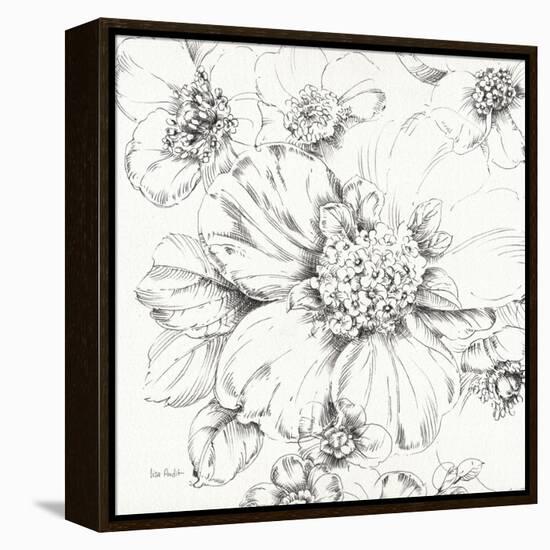 Summer Bloom III BW-Lisa Audit-Framed Stretched Canvas
