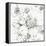 Summer Bloom III BW-Lisa Audit-Framed Stretched Canvas