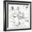 Summer Bloom III BW-Lisa Audit-Framed Premium Giclee Print