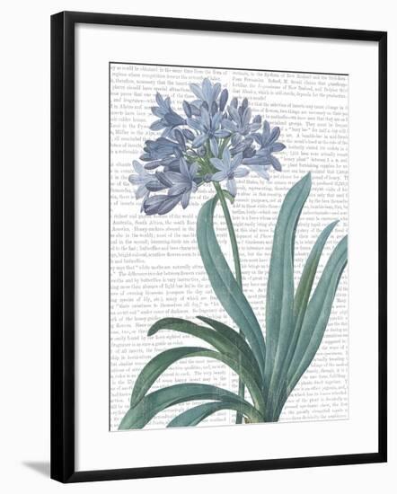 Summer Botanicals I-Wild Apple Portfolio-Framed Art Print