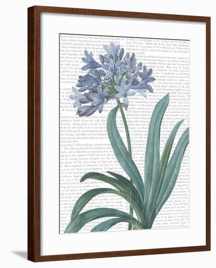 Summer Botanicals I-Wild Apple Portfolio-Framed Art Print