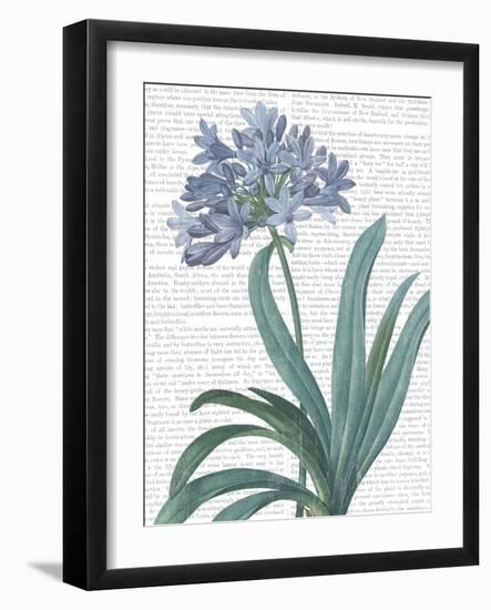 Summer Botanicals I-Wild Apple Portfolio-Framed Art Print