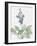Summer Botanicals II-Wild Apple Portfolio-Framed Art Print