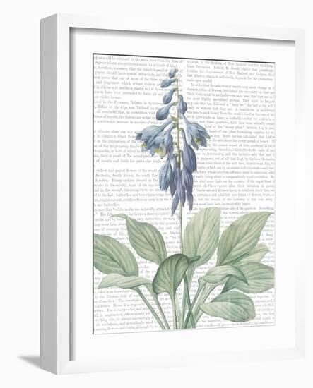 Summer Botanicals II-Wild Apple Portfolio-Framed Art Print
