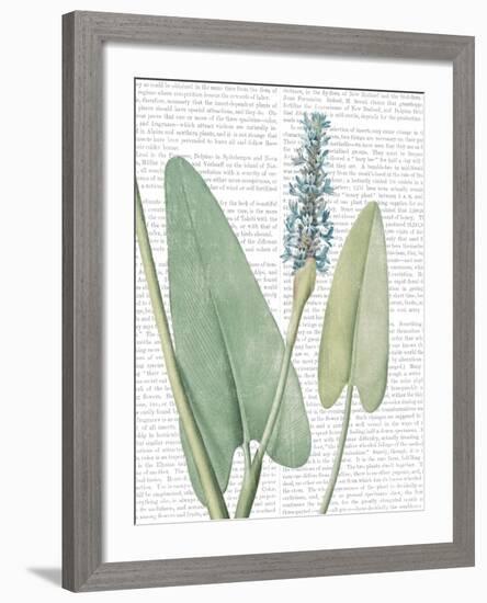 Summer Botanicals IV-Wild Apple Portfolio-Framed Art Print