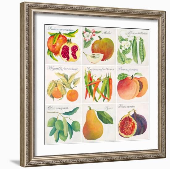 Summer Bounty-Jennifer Abbott-Framed Giclee Print