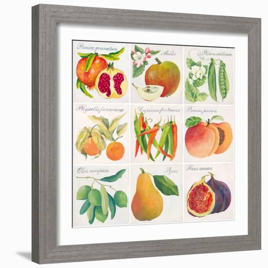 Summer Bounty-Jennifer Abbott-Framed Giclee Print