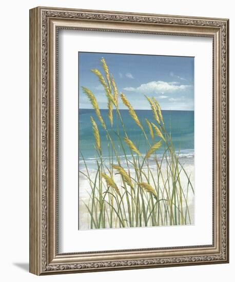 Summer Breeze I-Tim O'toole-Framed Art Print