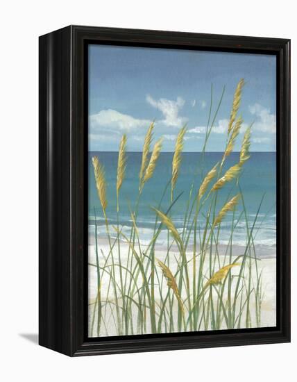 Summer Breeze II-Tim O'toole-Framed Stretched Canvas