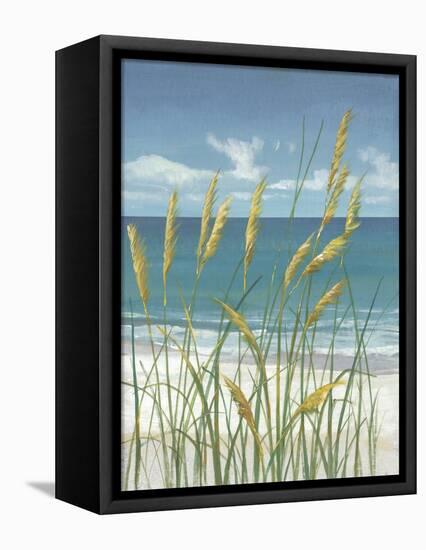 Summer Breeze II-Tim O'toole-Framed Stretched Canvas