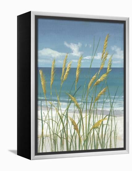 Summer Breeze II-Tim O'toole-Framed Stretched Canvas