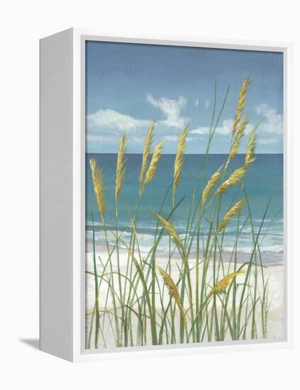 Summer Breeze II-Tim O'toole-Framed Stretched Canvas