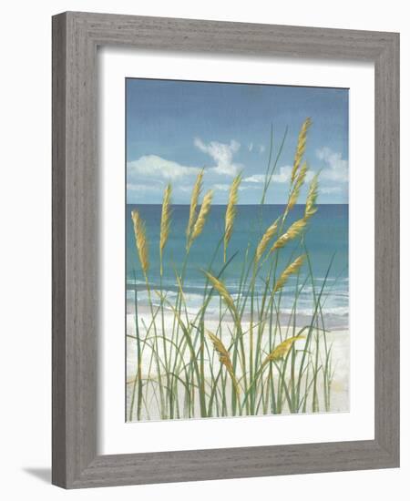 Summer Breeze II-Tim O'toole-Framed Art Print