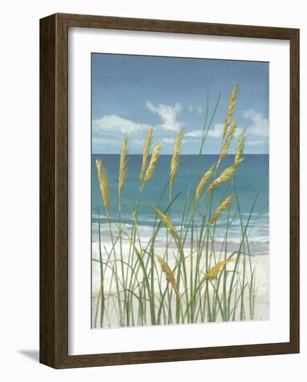 Summer Breeze II-Tim O'toole-Framed Art Print