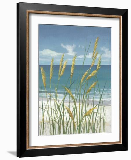 Summer Breeze II-Tim O'toole-Framed Art Print