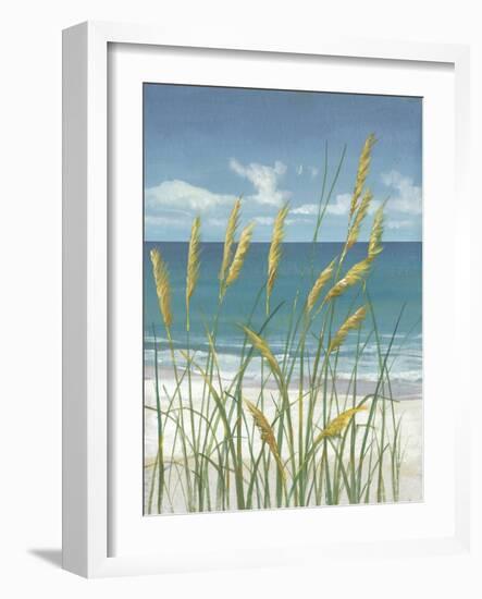 Summer Breeze II-Tim O'toole-Framed Art Print