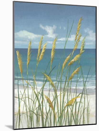 Summer Breeze II-Tim O'toole-Mounted Art Print