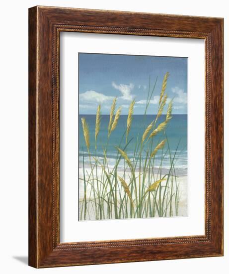 Summer Breeze II-Tim O'toole-Framed Art Print