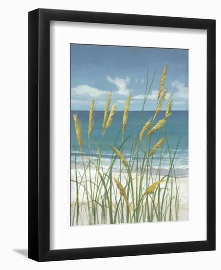 Summer Breeze II-Tim O'toole-Framed Art Print