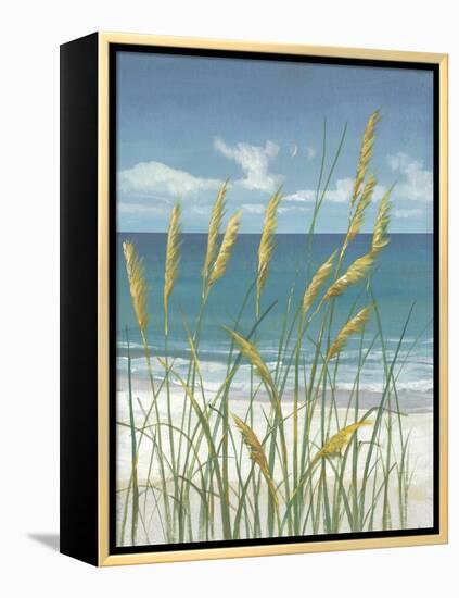 Summer Breeze II-Tim OToole-Framed Stretched Canvas