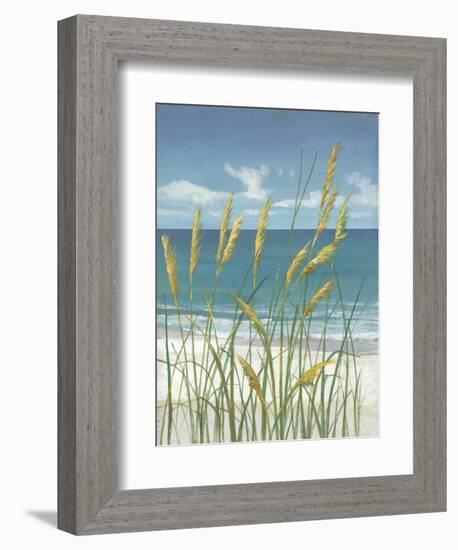 Summer Breeze II-Tim OToole-Framed Art Print