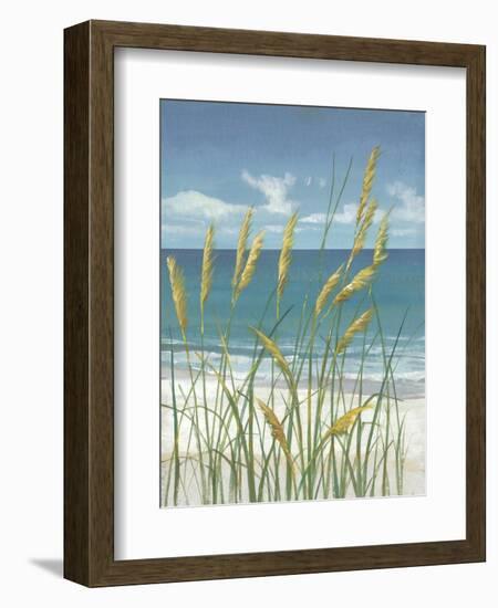 Summer Breeze II-Tim OToole-Framed Art Print