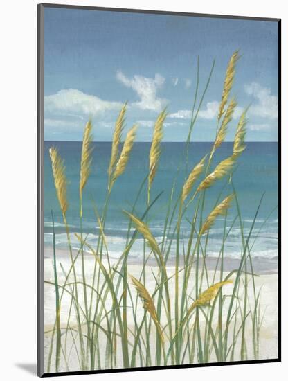 Summer Breeze II-Tim OToole-Mounted Art Print