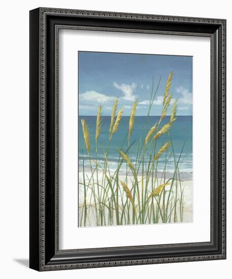 Summer Breeze II-Tim OToole-Framed Art Print