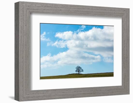 Summer Breeze-Doug Chinnery-Framed Photographic Print