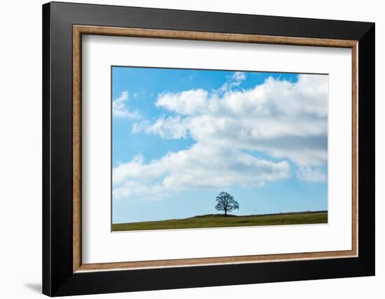 Summer Breeze-Doug Chinnery-Framed Photographic Print