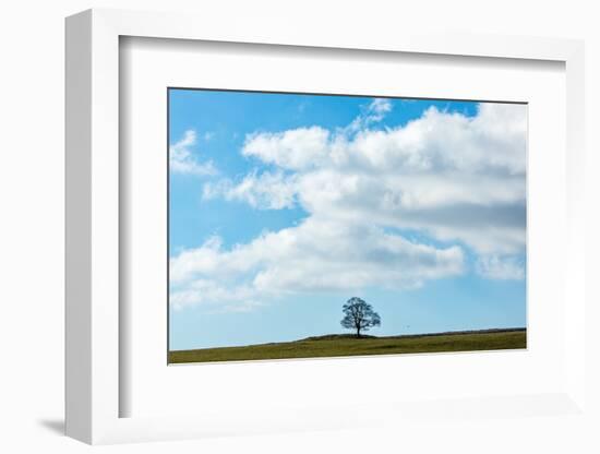 Summer Breeze-Doug Chinnery-Framed Photographic Print