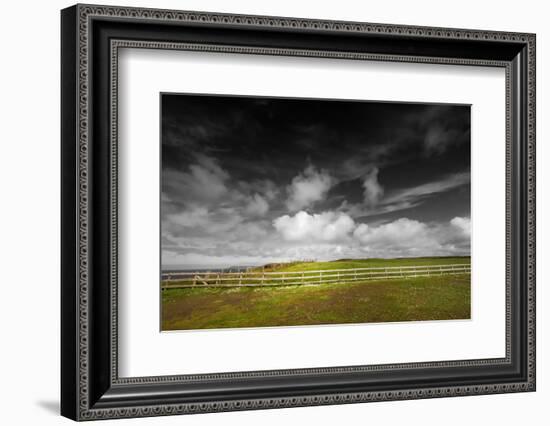 Summer Breeze-Philippe Sainte-Laudy-Framed Photographic Print