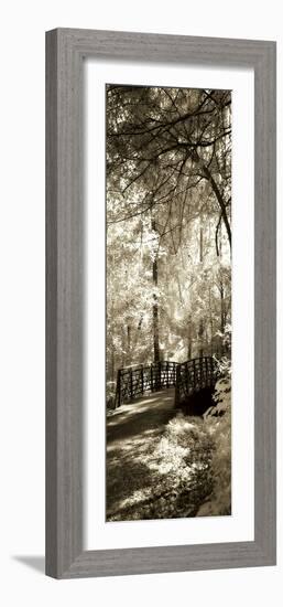 Summer Bridge Panel-Alan Hausenflock-Framed Photographic Print