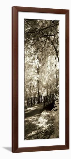 Summer Bridge Panel-Alan Hausenflock-Framed Photographic Print