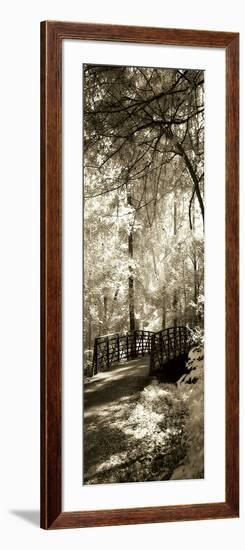 Summer Bridge Panel-Alan Hausenflock-Framed Photographic Print