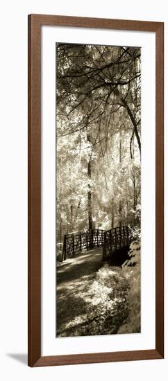 Summer Bridge Panel-Alan Hausenflock-Framed Photographic Print