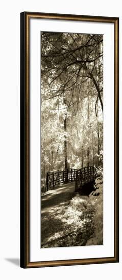 Summer Bridge Panel-Alan Hausenflock-Framed Photographic Print