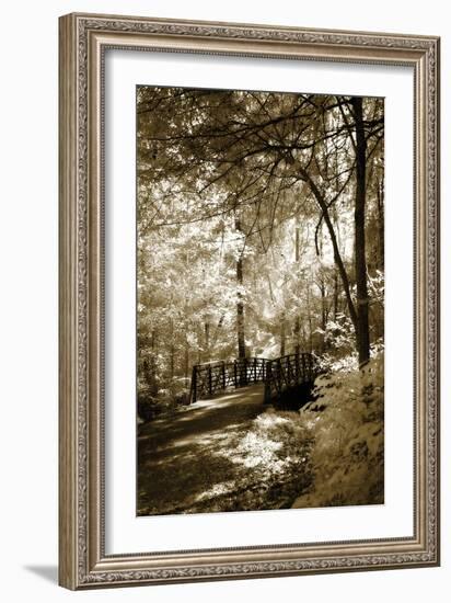 Summer Bridge-Alan Hausenflock-Framed Photographic Print