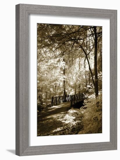 Summer Bridge-Alan Hausenflock-Framed Photographic Print