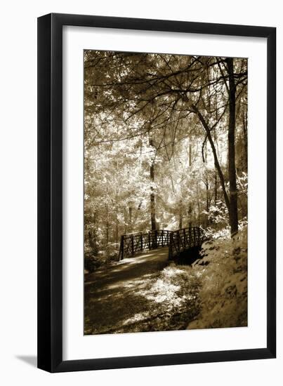Summer Bridge-Alan Hausenflock-Framed Photographic Print