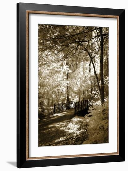 Summer Bridge-Alan Hausenflock-Framed Photographic Print