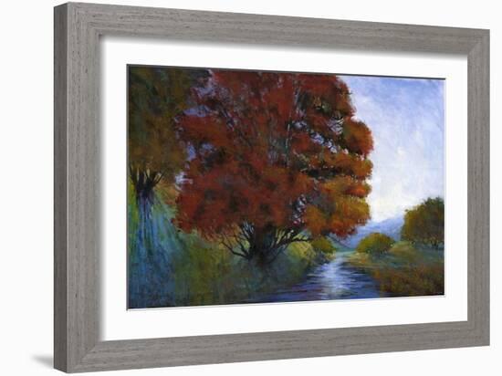 Summer Brook I-Michael Tienhaara-Framed Art Print