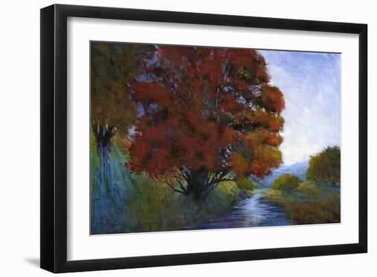 Summer Brook I-Michael Tienhaara-Framed Art Print